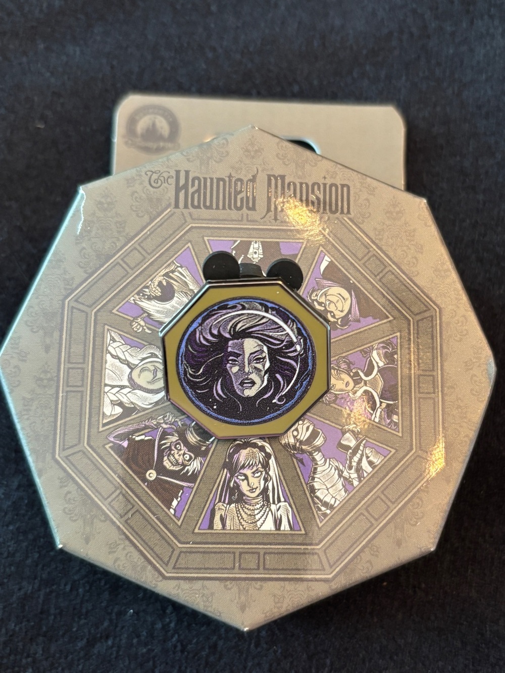 Disney Haunted Mansion Collectible Pin with Original Box - One Pin